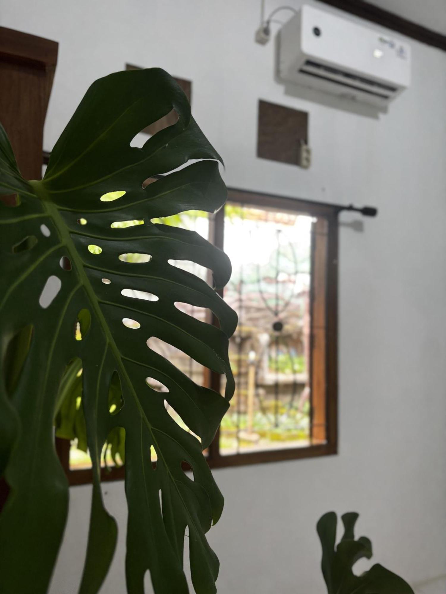 Zzz Hostel Ijen Banyuwangi  Exterior foto